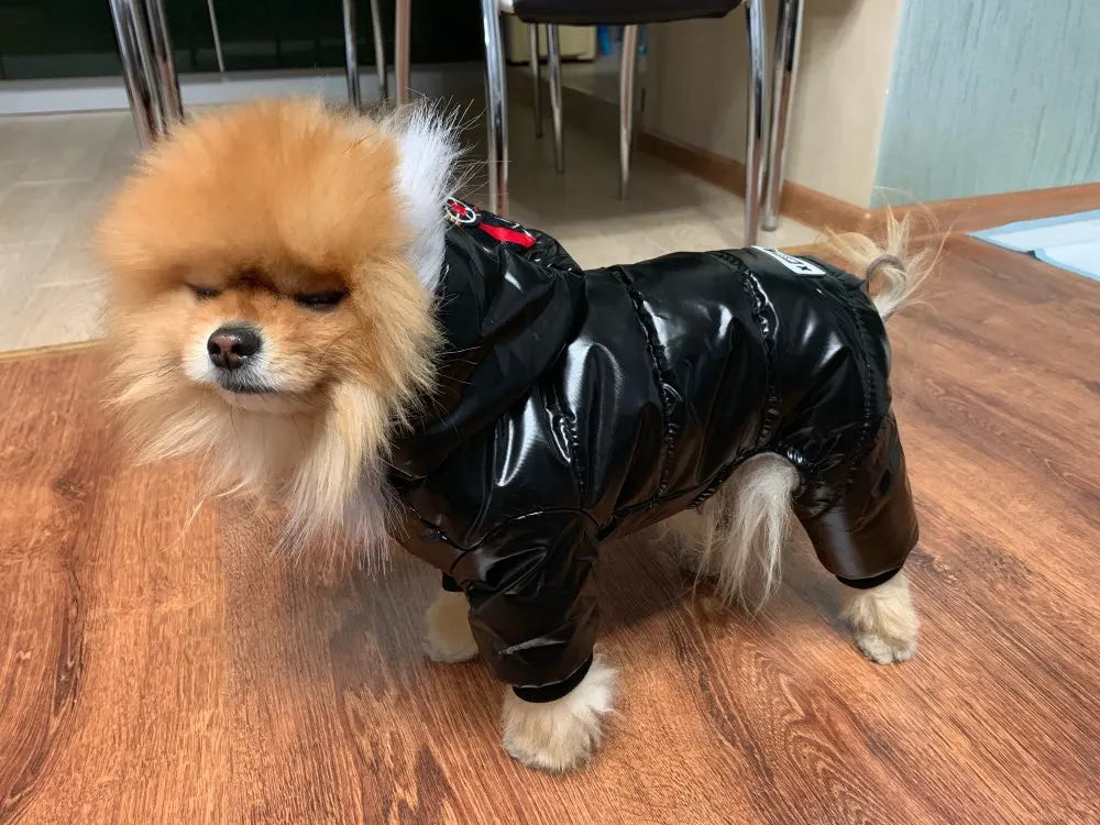 Waterproof Winter Pet Dog Clothes Warm Pets Coat Jacket Jumpsuit Thicker Cotton Clothes For Small Dogs Clothing Costume Puppy