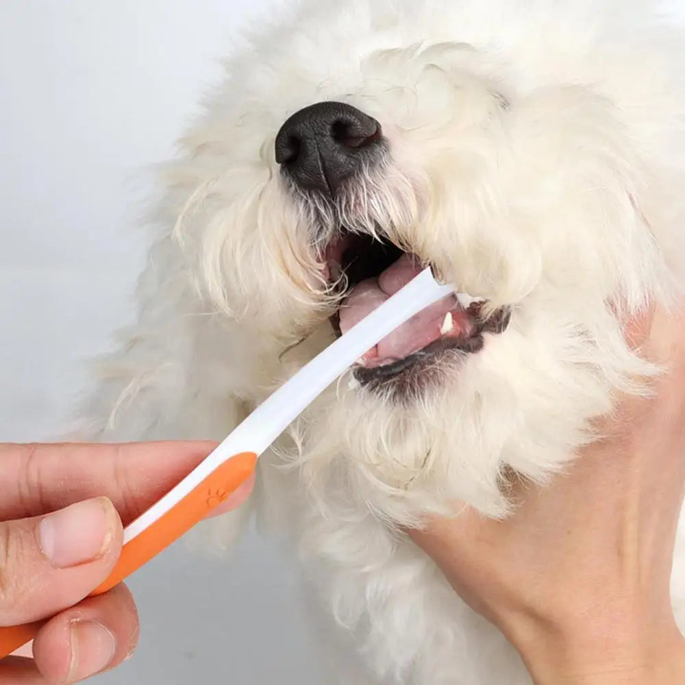 Dog Toothbrush Kit Cat Toothpaste And Finger Brush Finger Brush For Dogs Teeth And Toothpaste Pet Oral Teeth And Gum Care