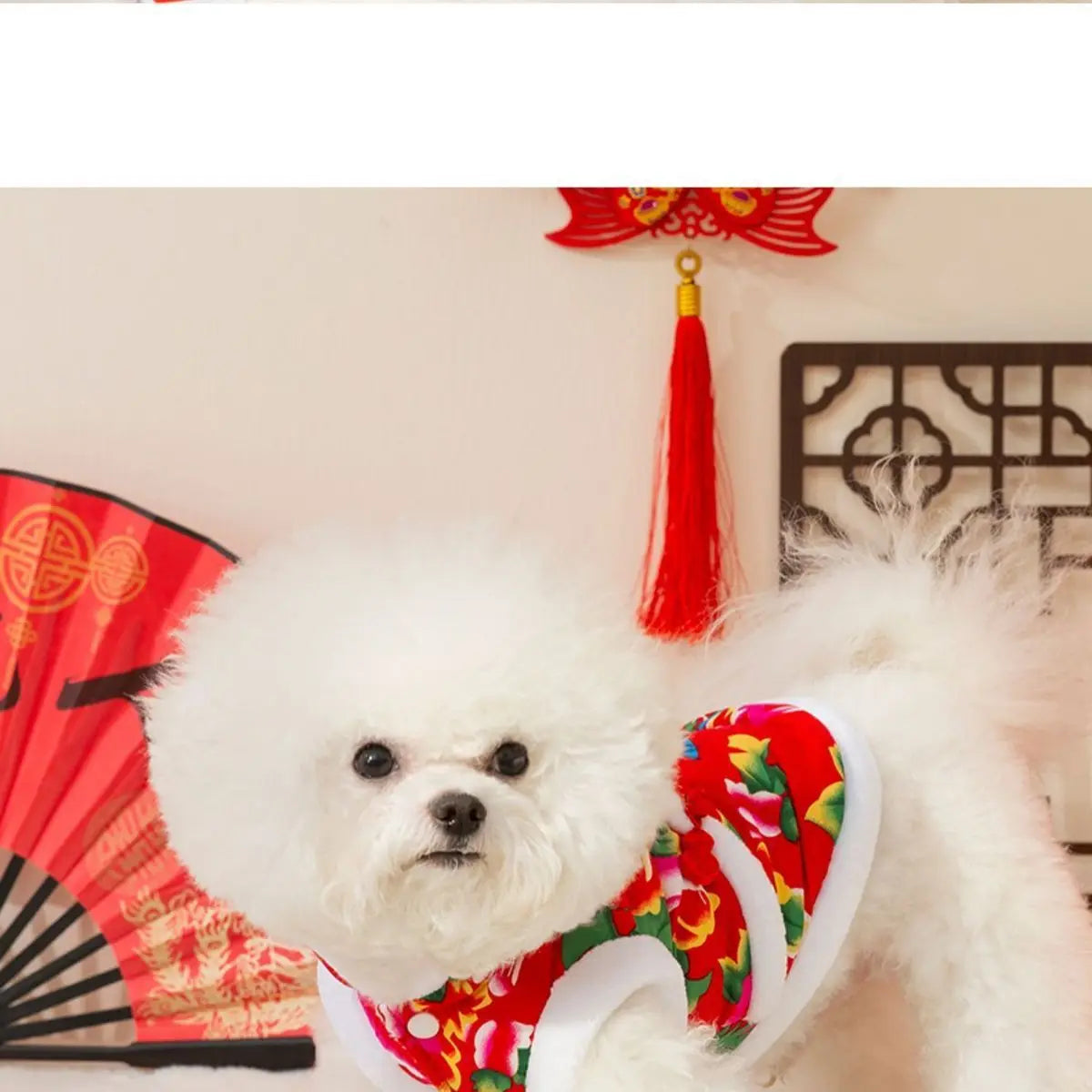 National Style Big Flower Padded Jacket Puppy Dog Clothes Autumn and Winter Velvet Warm Two Feet Teddy Pet Clothing