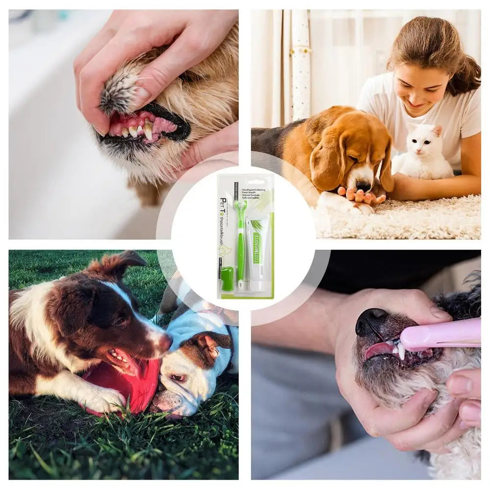 Dog Toothbrush And Toothpaste Portable Soft Powerful Pet Toothbrush Kit Safe Natural Pet Oral Care Pet Cleaning Set for Clean