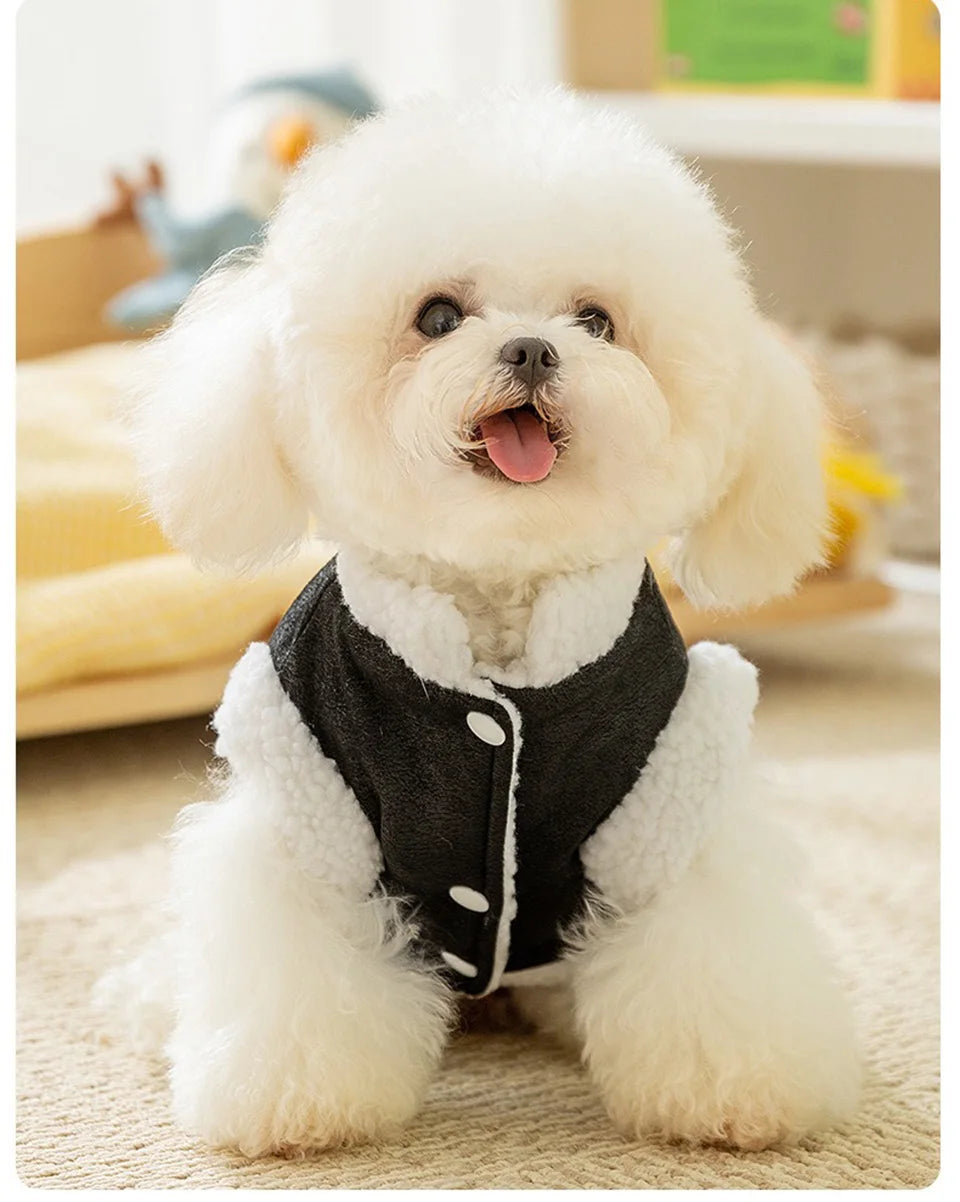 Winter Thick Warm Dog Coat Trendy Cool Pet Vest Dog Two Leg Clothes Teddy Bear Fashion Clothing XS-XL Pet Supplies