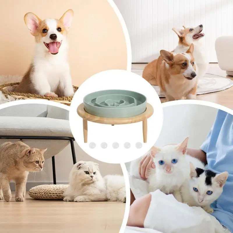 Dog Bowls Slow Feeder Anti Slip Ceramic Dog Feeding Bowl  Wood Elevated Base Feeding Supplies Slow Feeder Dishwasher Safe supply