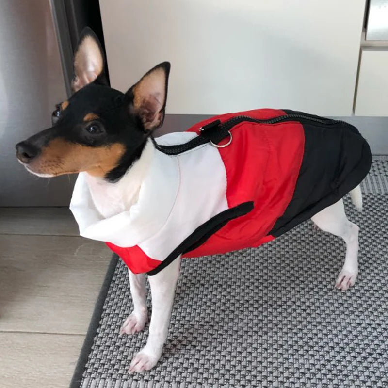 3-color Stitching Dog Cat Jacket Winter Warm Pet Clothes for Small Dogs Puppy York Terrier Spitz Waistcoat Mascotas Clothing