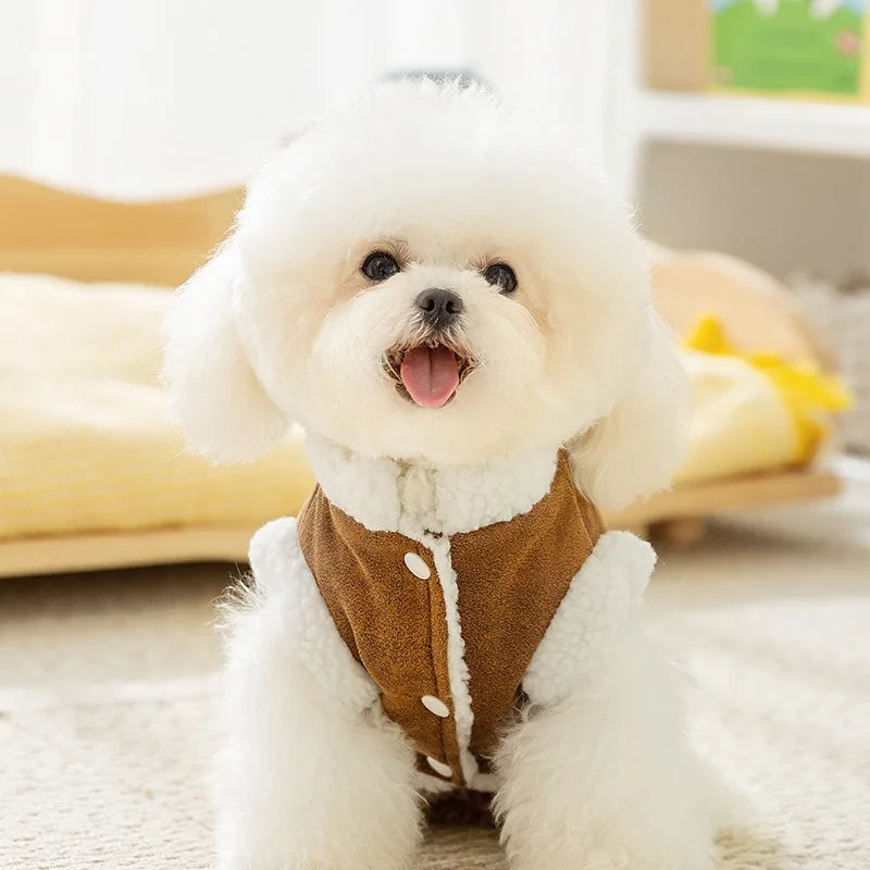 Winter Thick Warm Dog Coat Trendy Cool Pet Vest Dog Two Leg Clothes Teddy Bear Fashion Clothing XS-XL Pet Supplies